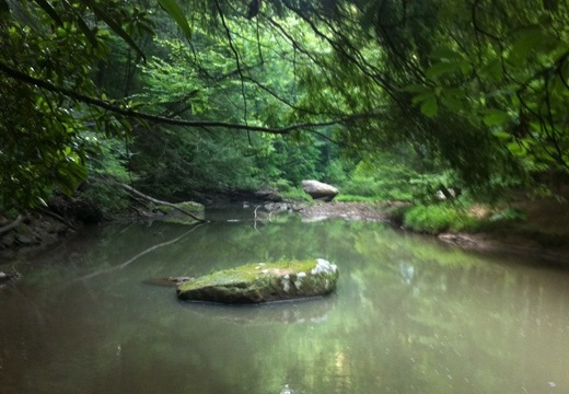 Clifty Wilderness